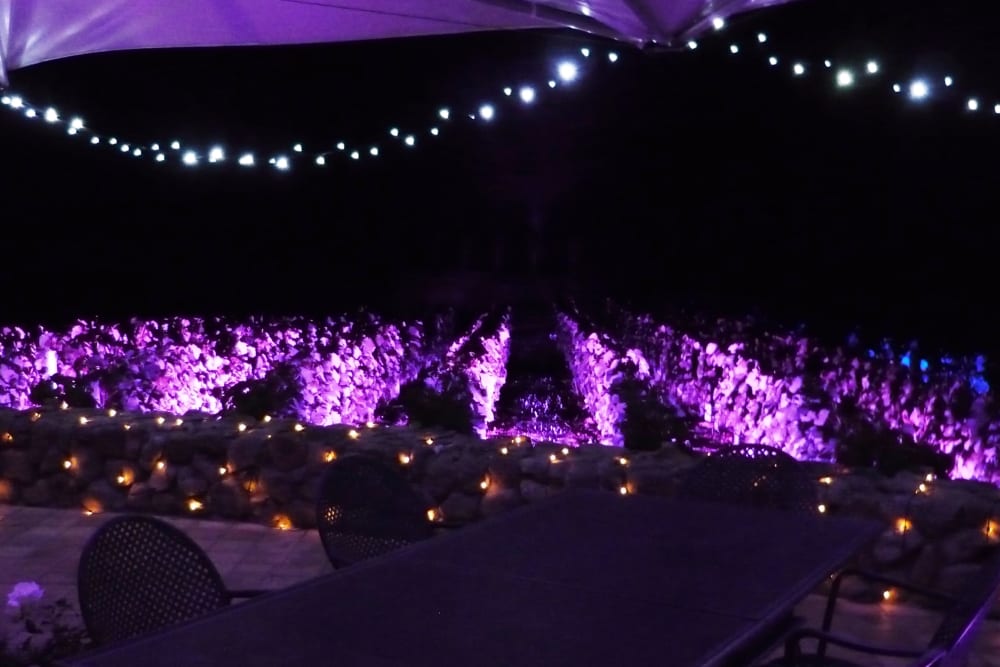 mood-lighting-the-vines-at-craggy-winery